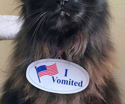 I Vomited Sticker - //coolthings.us