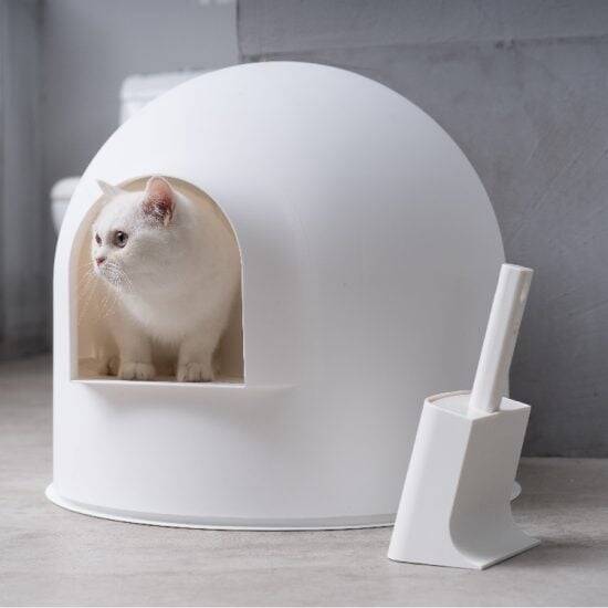 Igloo Cat Litter Box - //coolthings.us