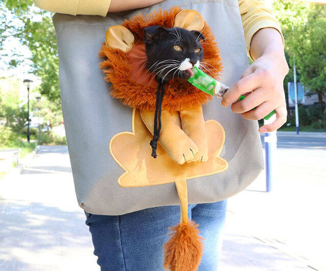 Lion Cat Carrier - //coolthings.us