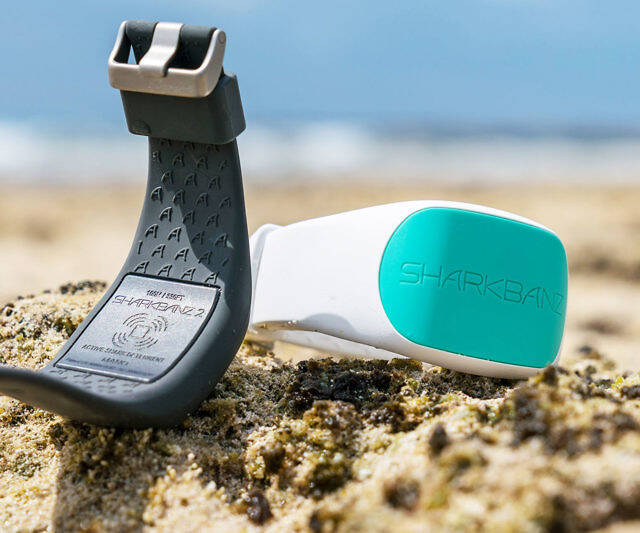 Magnetic Shark Repellent Band - //coolthings.us