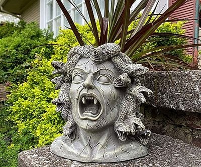 Medusa Head Planter