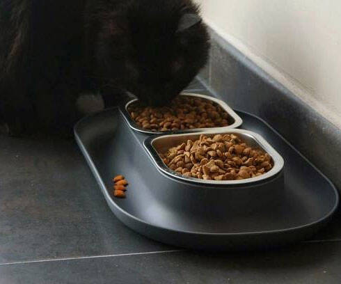 Mess-Proof Cat Food Bowls