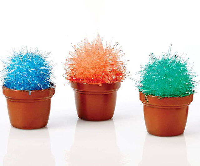 Miniature Crystal Cactus Growing Set - //coolthings.us