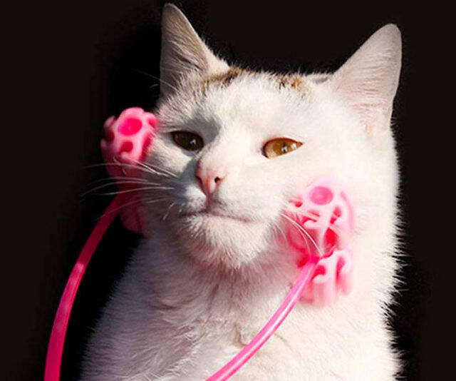 The Cat Face Massager - //coolthings.us
