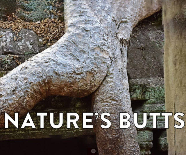 Nature's Butts Calendar - //coolthings.us