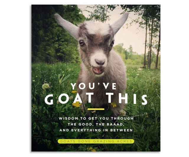 You've Goat This - //coolthings.us