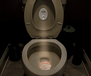 Pee-Litical Targets - //coolthings.us