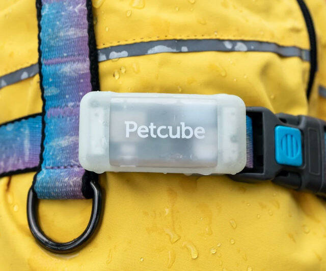 Petcube GPS Tracker Dog Collar - //coolthings.us