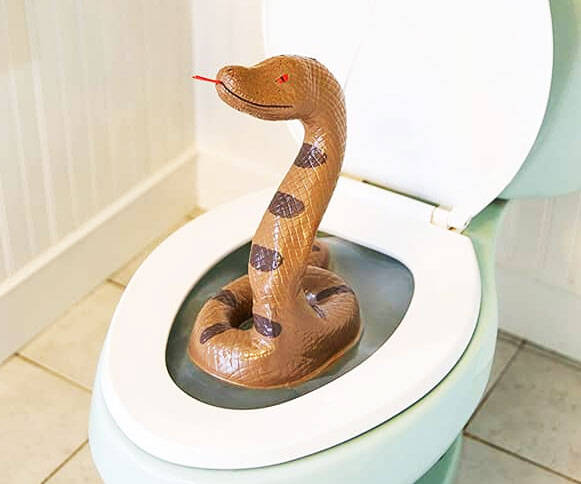 Pop-Up Toilet Snake - //coolthings.us