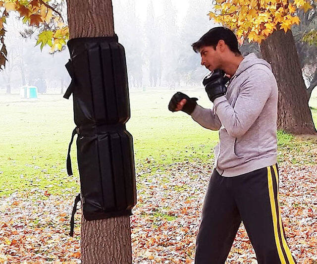 Portable Punching Bag