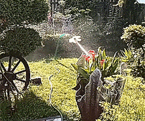 Dancing Daisy Flower Sprinkler