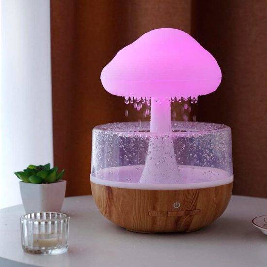 Rain Cloud Humidifier - //coolthings.us