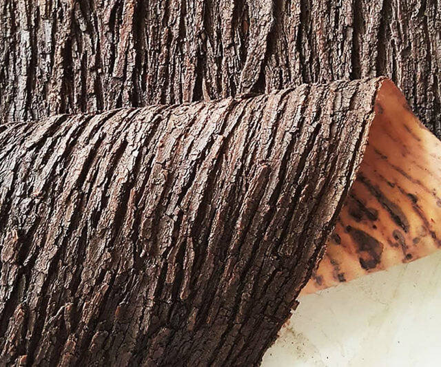 Realistic Silicone Tree Bark Sheets - //coolthings.us