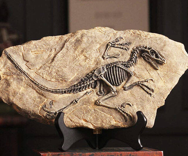 Resin Dinosaur Fossil Statues - //coolthings.us