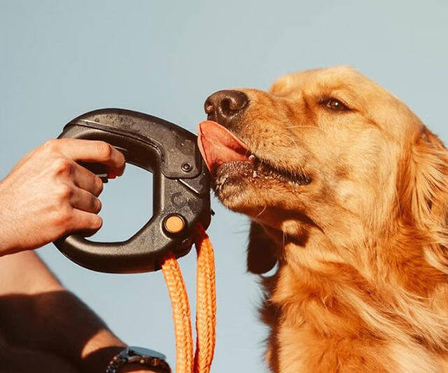 Dog Leash Handle Water Bottle - //coolthings.us
