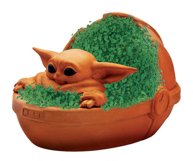 The Child Chia Pet - //coolthings.us