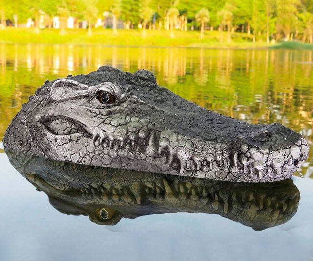 Remote Control Crocodile Head - //coolthings.us