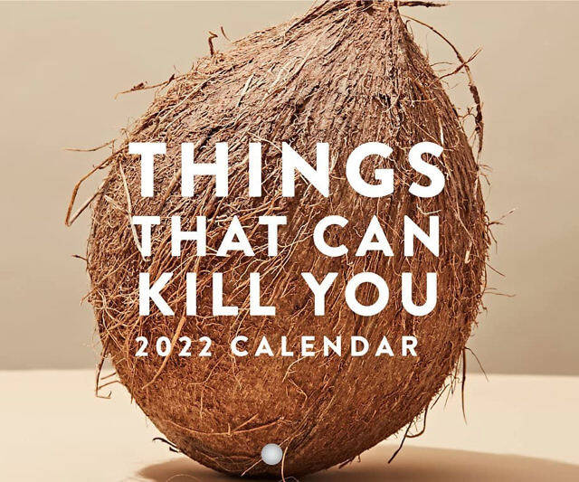 Things That Can Kill You Calendar - //coolthings.us