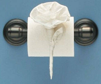 Toilet Paper Origami - //coolthings.us