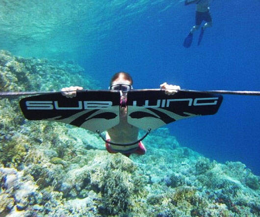 Subwing Underwater Glider - //coolthings.us