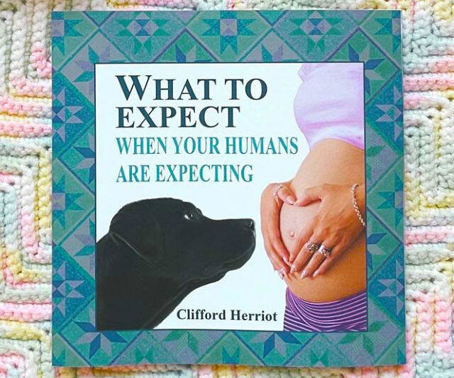 When Your Humans Are Expecting Book - //coolthings.us