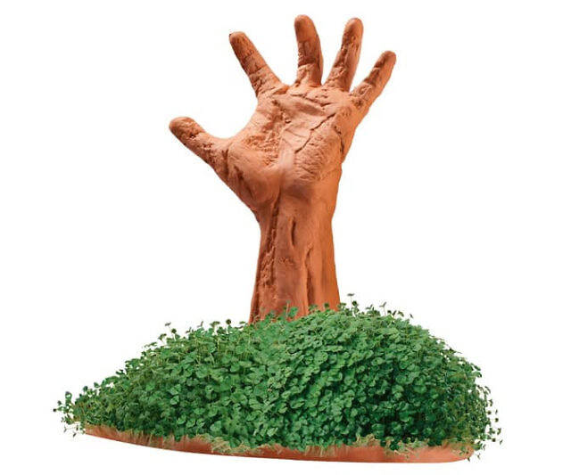Zombie Arm Chia Pet - //coolthings.us